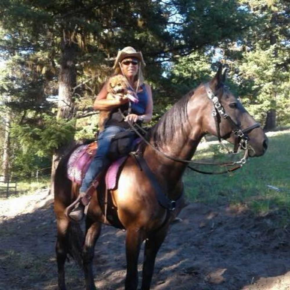 Meet your Posher, Debbie